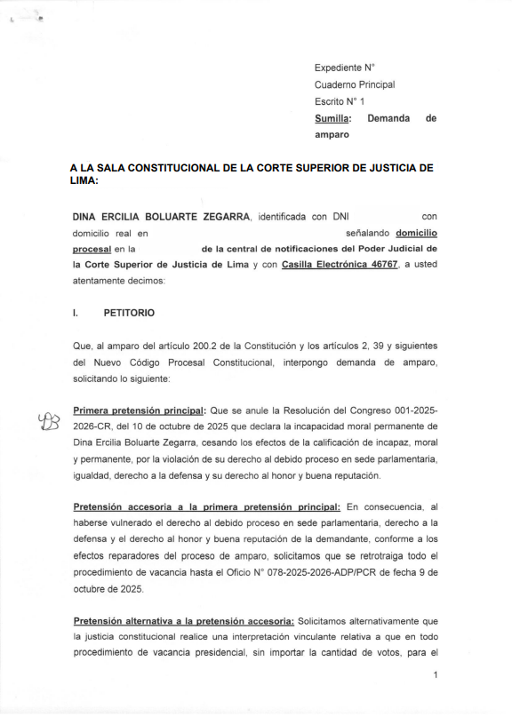 Recurso de amparo de Dina Boluarte.