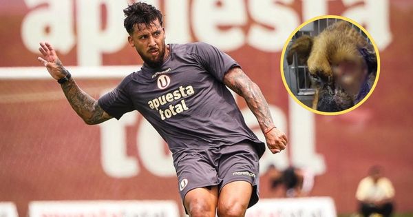 Caín Fara, defensa de la ‘U’, tuvo gran gesto con perro que golpearon hasta desfigurarle el rostro: “No podría ser ajeno a este caso” Caín Fara, defensa de la ‘U’, tuvo gran gesto con perro que golpearon hasta desfigurarle el rostro: “No podría ser ajeno a este caso”